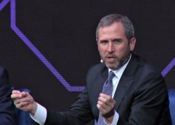 Ripple CEO Brad Garlinghouse Criticizes SEC for Losing Focus on Investor Protection