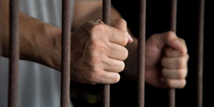 South Korean High Court Sentences Crypto Scammer to 9 Years in Jail