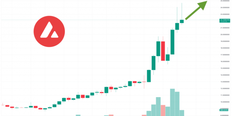 Is It Too Late to Buy Avalanche? AVAX Price Surges 70% as a New Telegram Casino Project Launch Approaches
