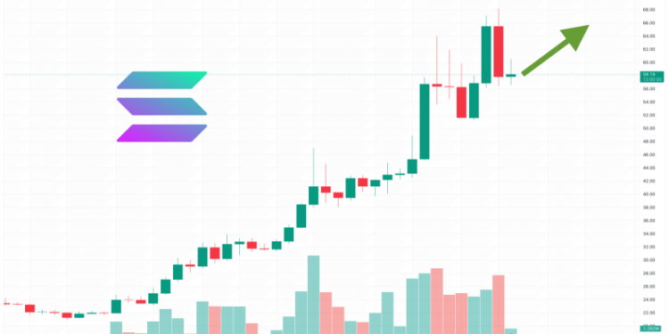 Is Solana Going to Zero? SOL Price Slashes 10% as Fresh Altcoin Bags $4 Million