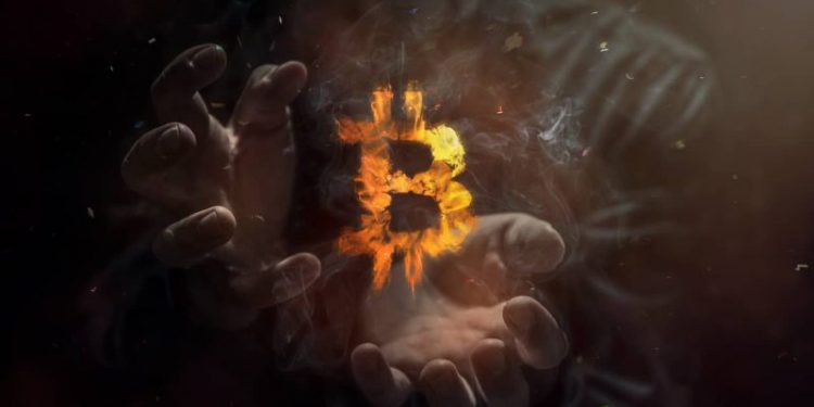 Bitcoin Ordinals Project Taproot Wizards Raises $7.5 Million in Seed Funding