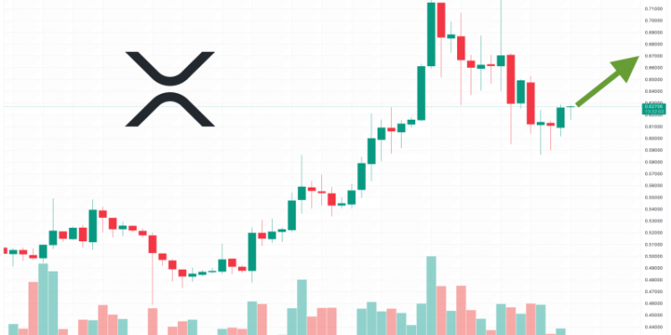 XRP Price Prediction as Value Drops 7.5% in 7 Days – What’s Behind This Sharp Decline?