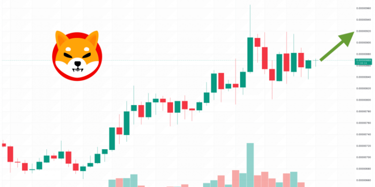 Shiba Inu Price Prediction as $100 Million Trading Volume Comes In – Is the Meme Coin Starting a New Bull Trend?