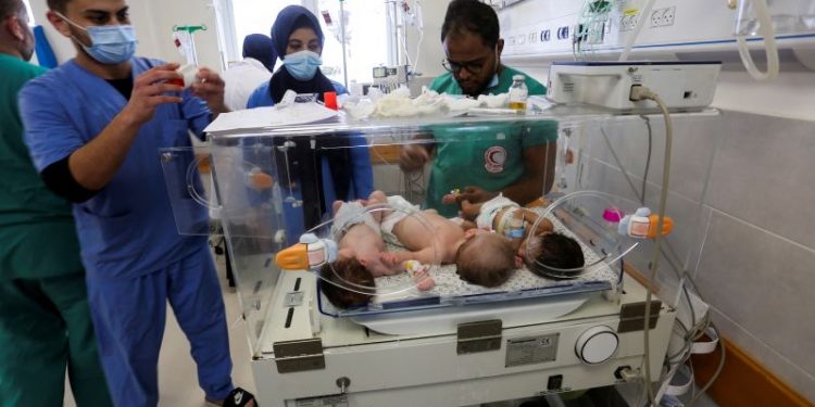 Premature, sick babies cross from Gaza into Egypt after Al-Shifa evacuation