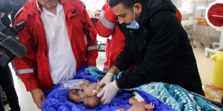 Premature, sick babies arrive in Egypt from Gaza after Al-Shifa evacuation