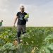 Israel’s farms need foreign labourers. The Hamas attacks triggered an exodus