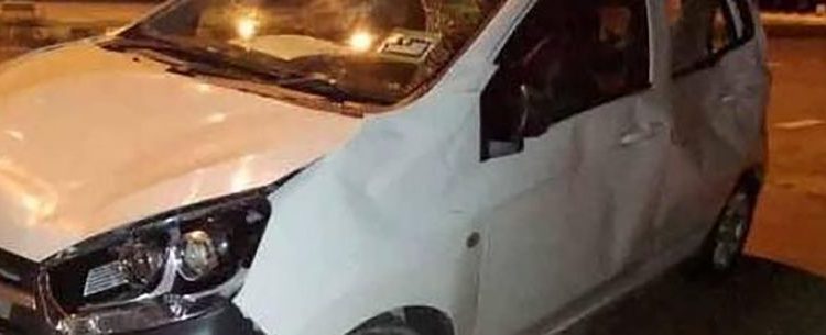 Elephant herd tramples car after baby struck along Malaysian highway