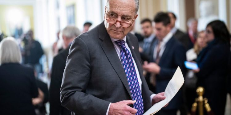 Schumer warns ‘antisemites are taking advantage’ of pro-Palestinian effort