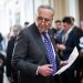 Schumer warns ‘antisemites are taking advantage’ of pro-Palestinian effort