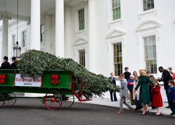Picking the White House Christmas tree is all about height, sight and light