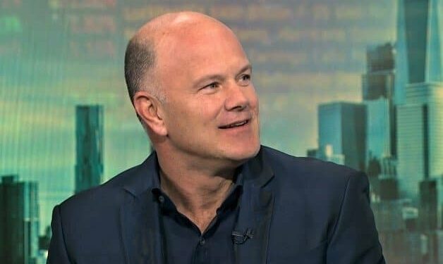 Crypto Mogul Novogratz Chooses Phillips Over Biden for Political Support
