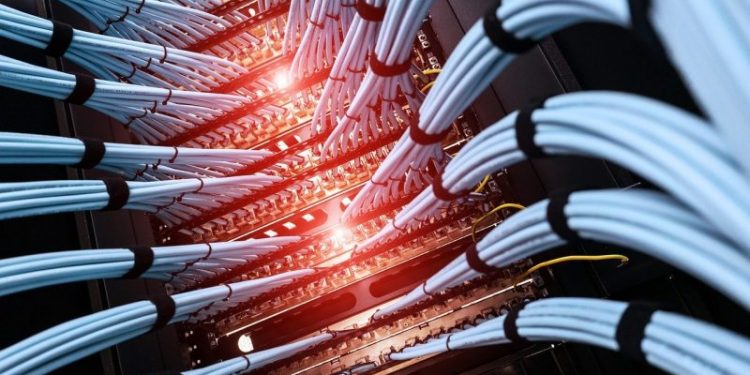 As DONK Meme Coin Skyrockets 4.5x Overnight, This Niche Crypto Has Clinched $3.9 Million – 100x Potential in 2024?