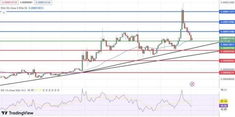 Shiba Inu Price Prediction as SHIB Declines Over 15% in 24 Hours – Can SHIB Reach $1?