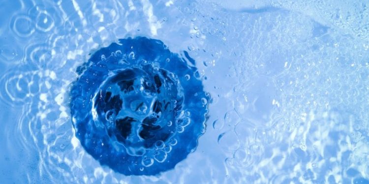 Digital Asset Investment Products Experience $16 Million Outflows, Breaking 11-Week Inflow Streak