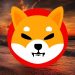 Is Shiba Inu Going to Zero? SHIB Price Suddenly Drops 11% as New Meme Coin Takes the Limelight