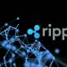 Ripple Obtains Virtual Asset Service Provider (VASP) License from Central Bank of Ireland