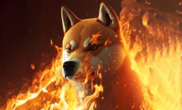 Is Bonk Going to Zero? BONK Price Instantly Drops 20% as Attention Moves to New Meme Coin (mk)