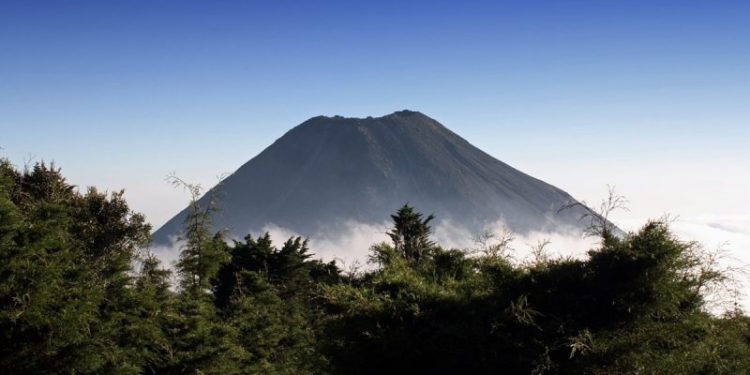 El Salvador Passes Law to Offer Citizenship to Foreign Bitcoin Investors