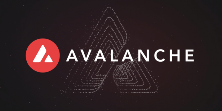 Avalanche Foundation Dives into Memecoin Market with $100 Million NFT Initiative