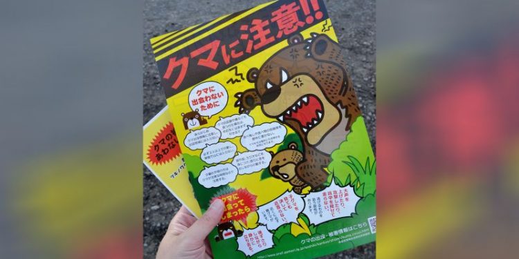 Bear attacks in Japan are at a record high. Climate change and an aging population are making the problem worse