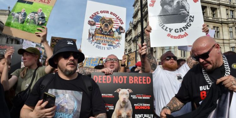 England and Wales ban on XL Bully dog breed to take effect Sunday