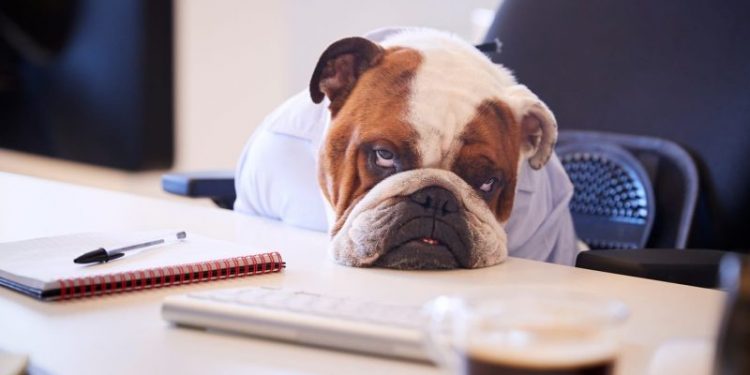 ETFs Are Tots Coming, ETFs Are Not Coming, ETFs Are ETFing and 20 Crypto Jokes