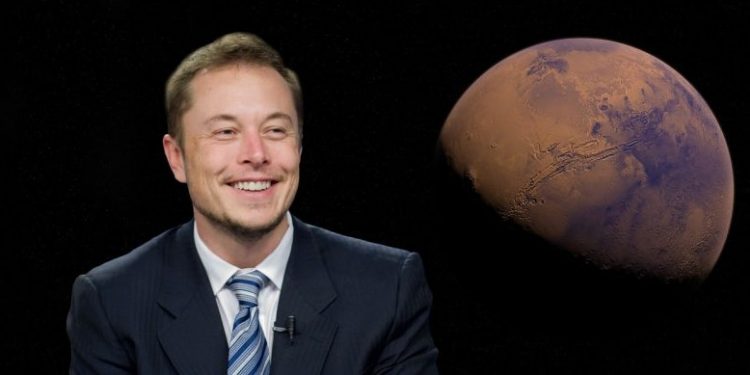MUSK Token is Up 400x in 24 Hours and This Might Be the Next Crypto to Explode