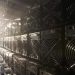 Bitcoin Miner Core Scientific Overcomes Bankruptcy, Eyes Stock Market Return