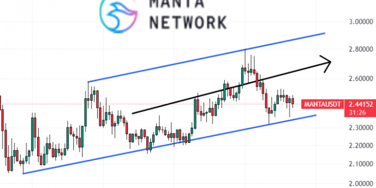 Manta Network Price Prediction as MANTA Starts Trending on CoinGecko – Next Big Thing?