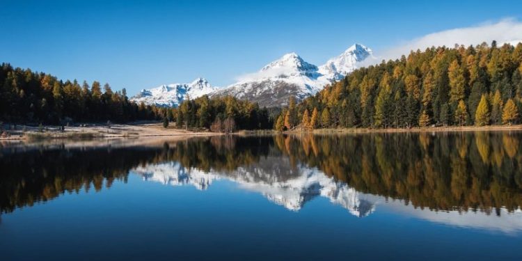 Deutsche-backed Taurus Receives Green Light to Introduce Tokenized Securities for Retail Clients