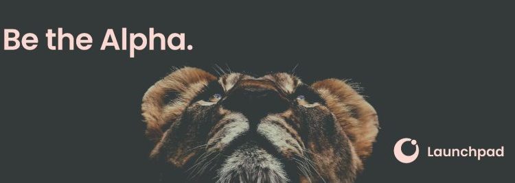 Claim Launchpad XYZ LPX Token January 31, V1 Platform Live in February For 14,000% ROI