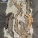 Australian police seize lizards worth $800,000 from alleged smugglers