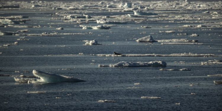 Norway parliament approves highly controversial deep sea mining