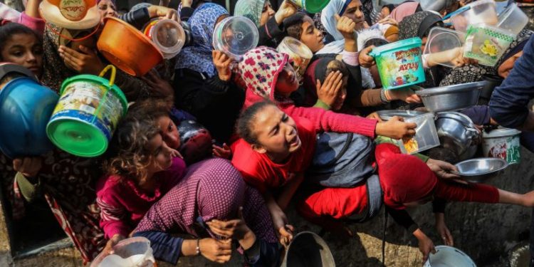 How much aid Gaza needs to survive: A visual guide