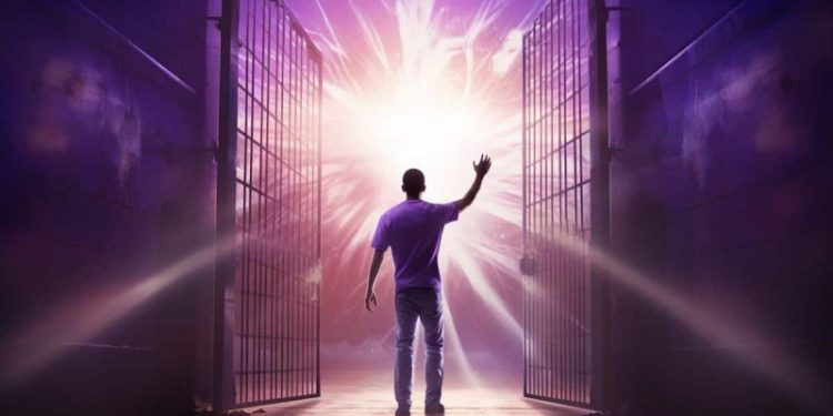 South Korean Altcoin Execs Released on Bail