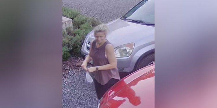 Fears grow for runner missing in dense Australian bushland for six days