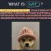 Is It Too Late to Buy Dogwifhat? WIF Aiming for $1, With Another Token on the Horizon
