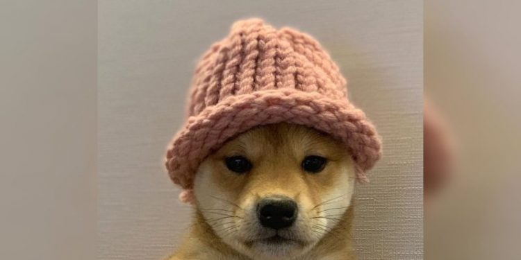 Cryptocurrency Trader Turns $310 Into $5 Million in 3 Months – Here’s How