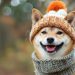 Is It Too Late to Buy DogWifHat? WIF Price Blasts Up 42% as Solana’s Latest ICO Quickly Gathers $500,000