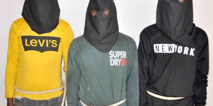 Seven men arrested in India for alleged gang-rape of tourist