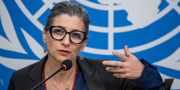 ‘Reasonable grounds’ to believe Israel is committing genocide in Gaza, UN rights expert says