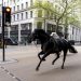 Escaped army horses run amok in central London