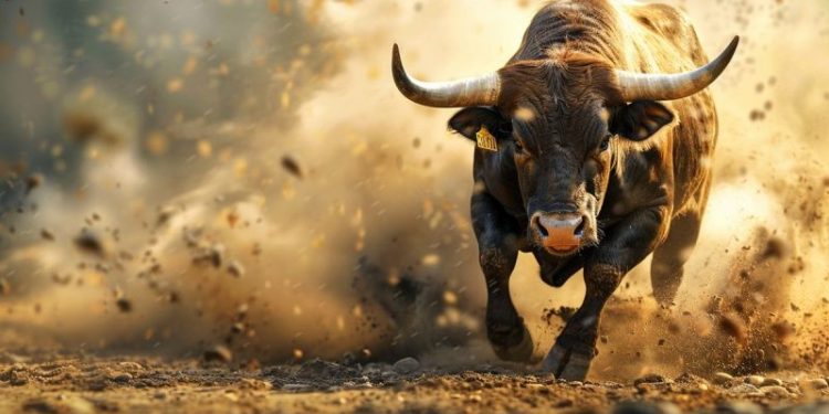 Is The Bitcoin Bull Run Losing Steam? Indicator Signals Potential Slowdown