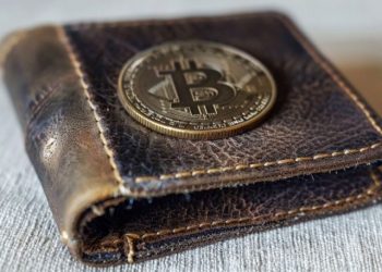 Bitcoin Wallets with $1K Balances Jump 20% Since Start of 2024: Fidelity