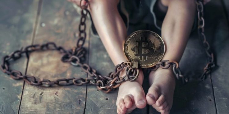 US Senators Warren and Cassidy Push for Action Against Cryptocurrency Use in Child Abuse Trade