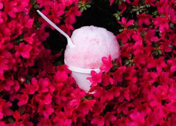 This small Missouri city could cash in on the eclipse. It’s trying hard not to.