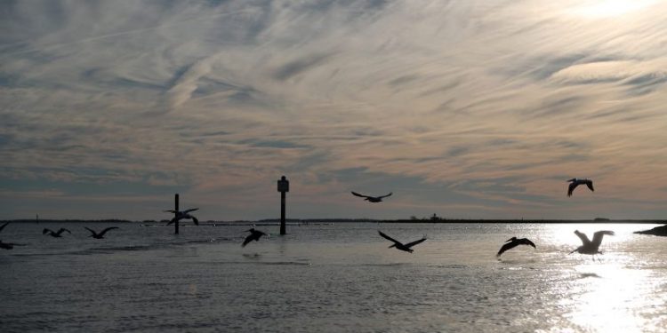 Scientists are sounding the alarm about oceans, but Biden’s budget would slash research data