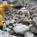 ‘Roger,’ overly playful dog who failed police academy, becomes star of Taiwan quake response