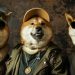 Dogwifhat, Pepe and Dogecoin All Spike As Crypto Market Cap Gains 7% – Is It Time to Buy Meme Coins?