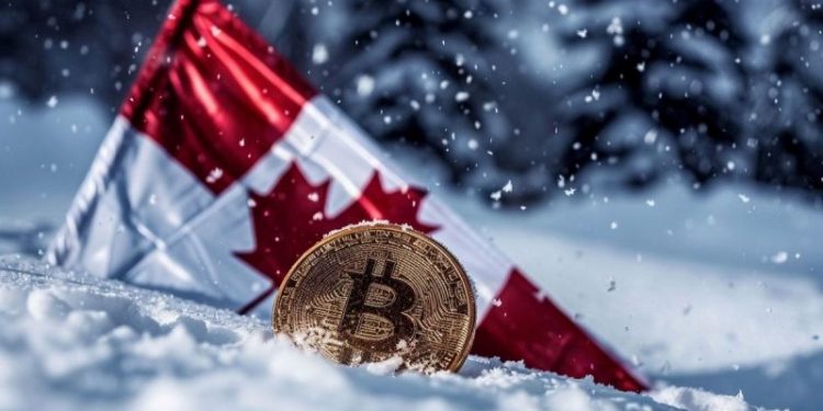 Canada’s Tax Authority Targets Crypto Tax Dodgers, Investigating Multimillion-Dollar Cases